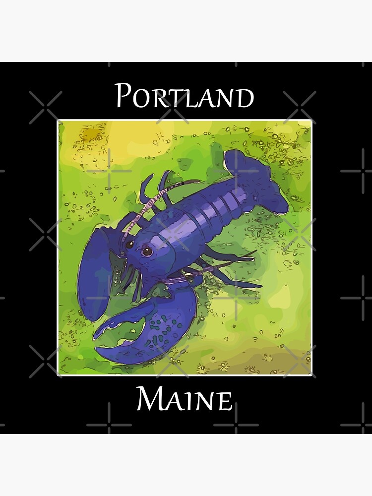 MAINE NAUTICAL FLAG - BLANK NOTE CARDS – Little Lavender Lobster