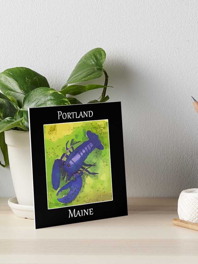 MAINE NAUTICAL FLAG - BLANK NOTE CARDS – Little Lavender Lobster