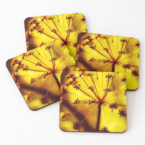 Item preview, Dried Wildflower Glow Nature Beauty Vertical Mount Stewart Northern Ireland designed and sold by eddiebarronshop.
