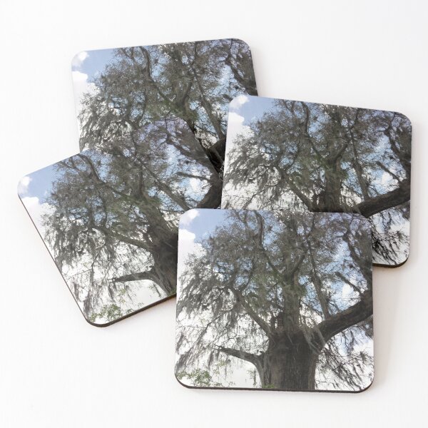 Item preview, Tree at lettuce lake park designed and sold by Daerohel.