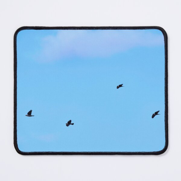 Item preview, So light is the cloud over the Eurasian jackdaws designed and sold by Jouko Lehto Photography.