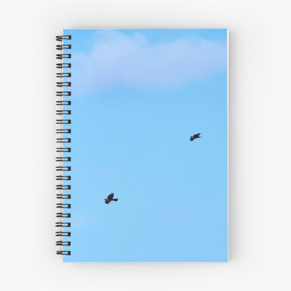 Item preview, So light is the cloud over the Eurasian jackdaws designed and sold by Jouko Lehto Photography.