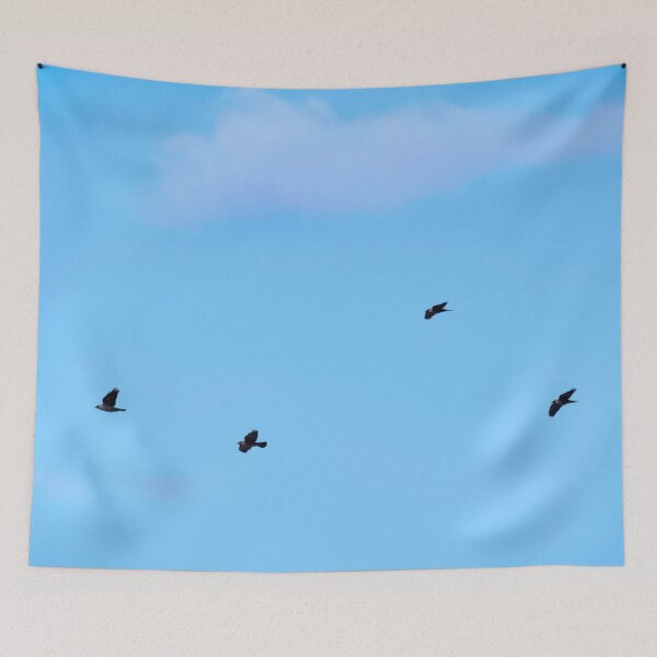 Item preview, So light is the cloud over the Eurasian jackdaws designed and sold by Jouko Lehto Photography.