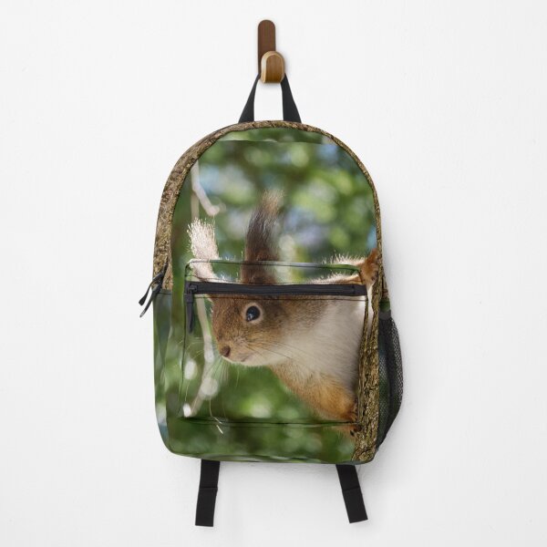 Item preview, Here I am again. Red squirrel designed and sold by Jouko Lehto Photography.