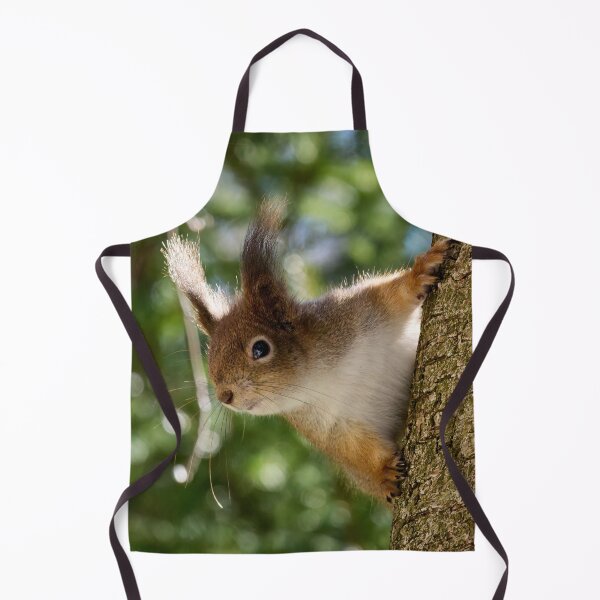 Item preview, Here I am again. Red squirrel designed and sold by Jouko Lehto Photography.