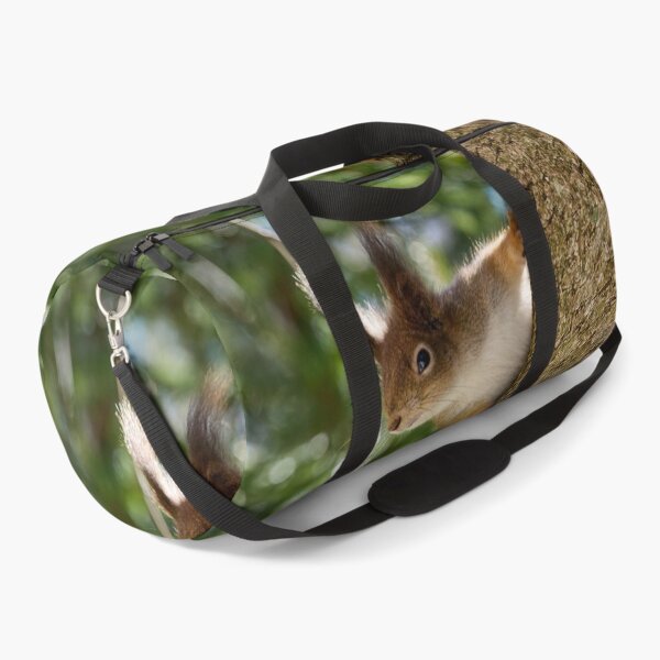 Item preview, Here I am again. Red squirrel designed and sold by Jouko Lehto Photography.