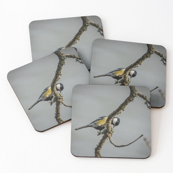 Item preview, Great Tit searching for grubs amongst the Lecithin on a Branch designed and sold by David. C.A. Le Quelenec.