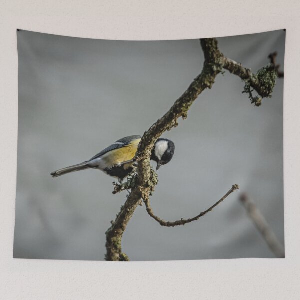 Item preview, Great Tit searching for grubs amongst the Lecithin on a Branch designed and sold by David. C.A. Le Quelenec.