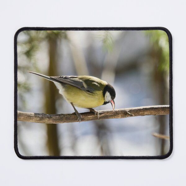 Item preview, Pinocchio. Great tit designed and sold by Jouko Lehto Photography.