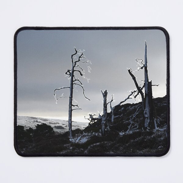 Item preview, Dead trees on hilltop against grey moody sky designed and sold by Nick Pautrat.