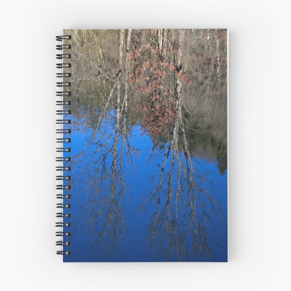 Item preview, Reflections of Winter I designed and sold by Kezzles.
