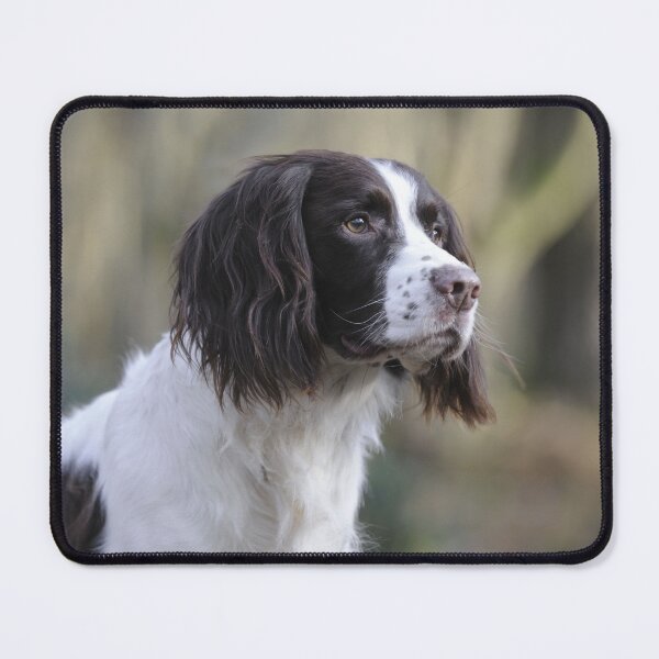 Item preview, English Springer Spaniel Dog designed and sold by ScienceSource.