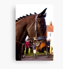 Majestic #3 Canvas Print