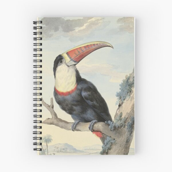 Item preview, Vintage Artwork - Red-billed Toucan, Aert Schouman, 1748 designed and sold by Gin  Neko.