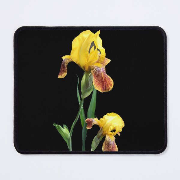 Item preview, Yellow iris designed and sold by Susan Gallup.