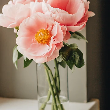 Artwork thumbnail, Spring display by BubbleTextBox
