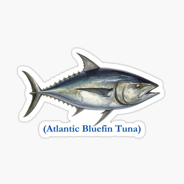 Bluefin Tuna Rider Fishing PinUp Girl Sticker for Sale by Mary