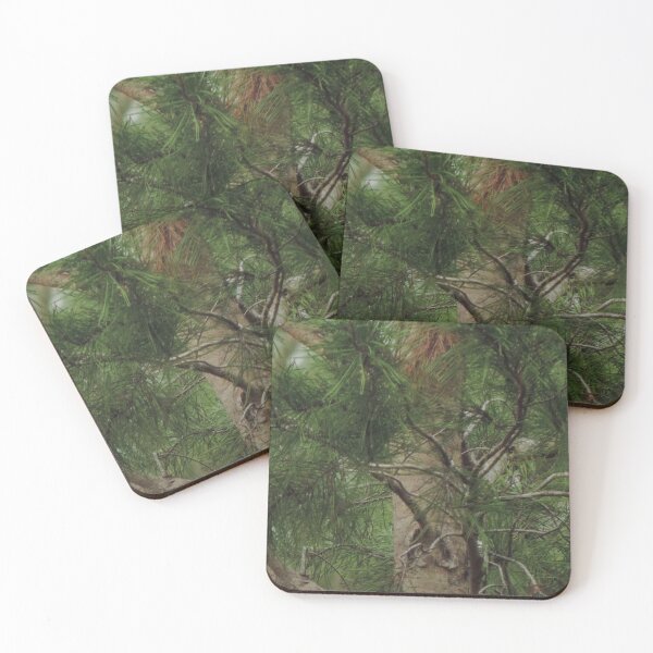 Item preview, Sand pine tree designed and sold by Jmb67.