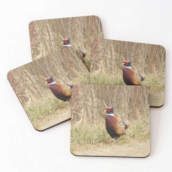 Item preview, Colorful rooster pheasant in the wild designed and sold by GerryBuckel.