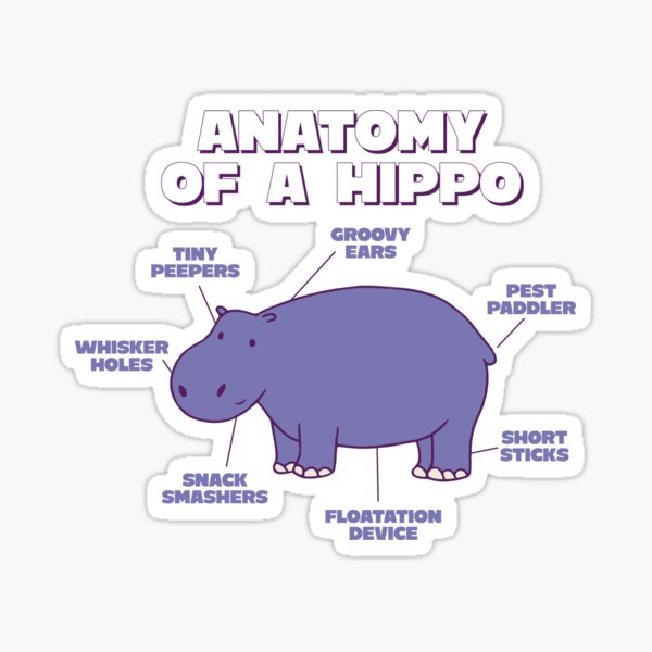 Item preview, Anatomy Of A Hippo Sweet Hippo Explanation For Zoo Lovers  designed and sold by NewArtWave.