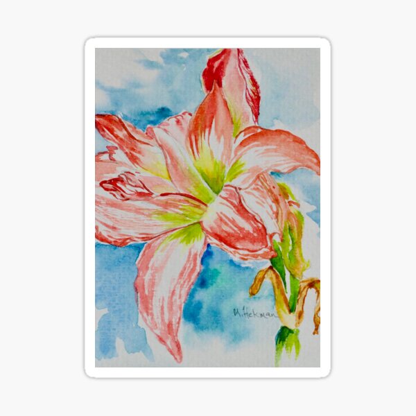 Amaryllis Sticker