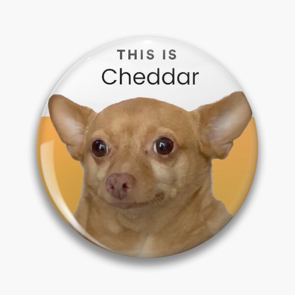 This is Cheddar Pin