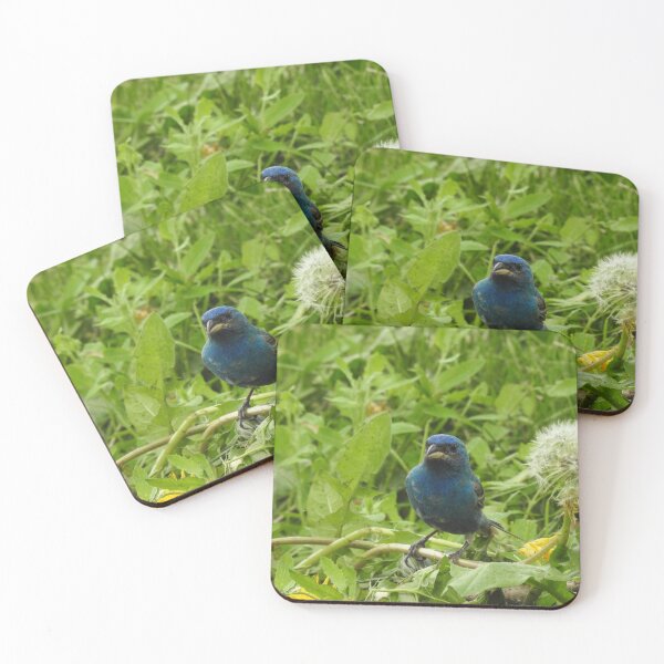 Item preview, Indigo Bunting and dandelion poof designed and sold by GerryBuckel.
