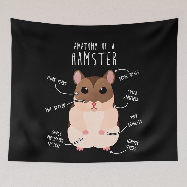 Item preview, Campbell's Dwarf Hamster Anatomy designed and sold by Clara Hollins.