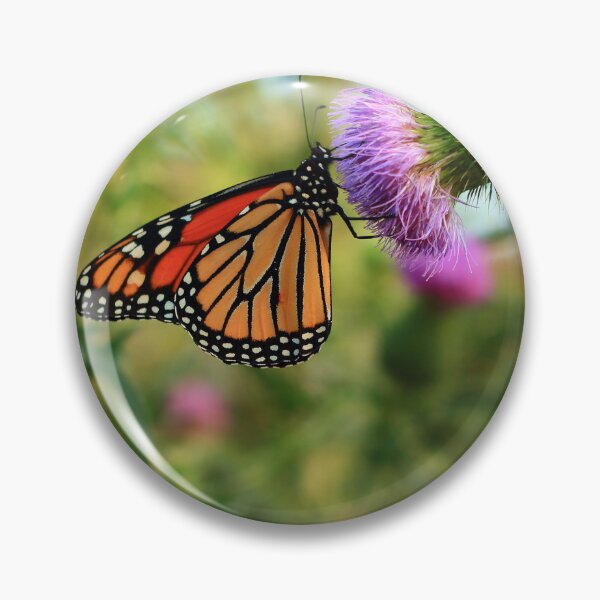 Item preview, Danaus plexippus on Cirsium vulgare designed and sold by outdoorstudio.