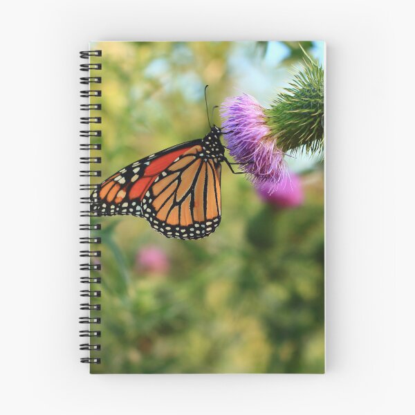 Item preview, Danaus plexippus on Cirsium vulgare designed and sold by outdoorstudio.