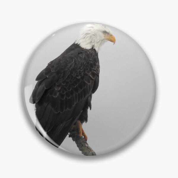 Item preview, Bald Eagle sitting atop the tree designed and sold by GerryBuckel.