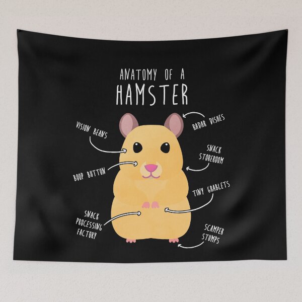 Item preview, Golden Syrian Hamster Anatomy designed and sold by Clara Hollins.