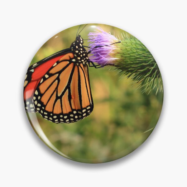Item preview, Danaus plexippus on Cirsium vulgare designed and sold by outdoorstudio.
