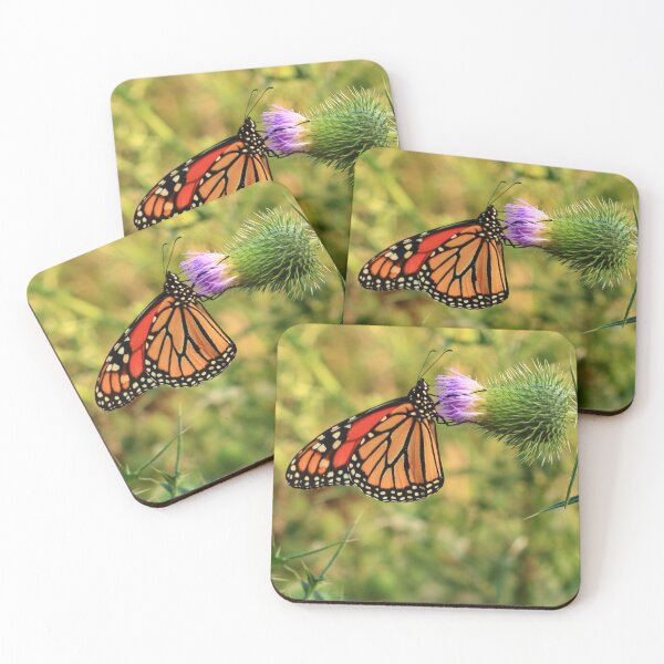 Item preview, Danaus plexippus on Cirsium vulgare designed and sold by outdoorstudio.