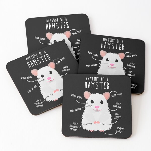 Item preview, Teddy Bear Long-Haired Syrian Hamster Anatomy designed and sold by Clara Hollins.