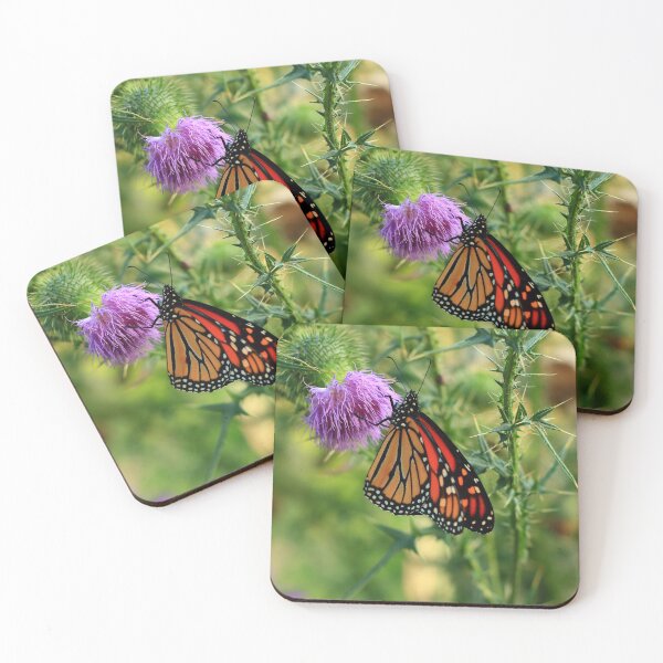 Item preview, Danaus plexippus on Cirsium vulgare designed and sold by outdoorstudio.