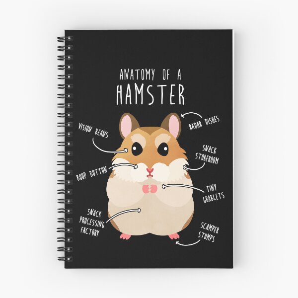 Item preview, Roborovski Dwarf Hamster Anatomy designed and sold by Clara Hollins.