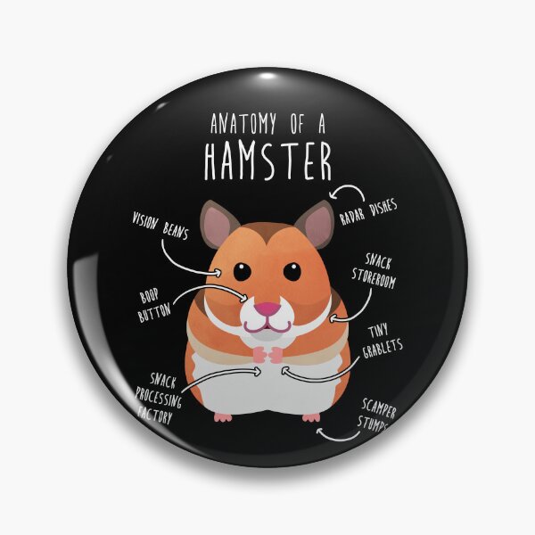 Artikelvorschau, Anatomie des syrischen Hamsters entworfen und verkauft von Clara Hollins.