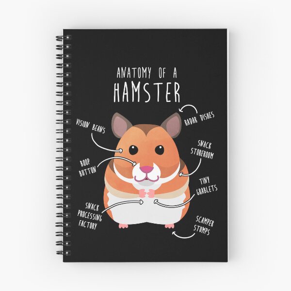 Artikelvorschau, Anatomie des syrischen Hamsters entworfen und verkauft von Clara Hollins.