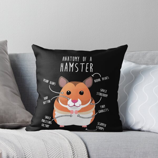 Artikelvorschau, Anatomie des syrischen Hamsters entworfen und verkauft von Clara Hollins.