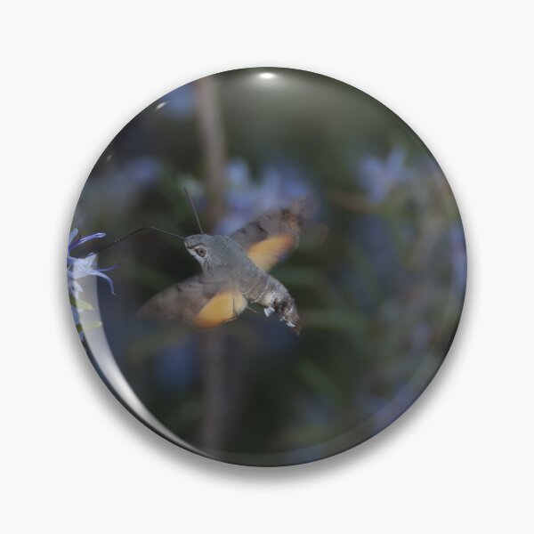 Item preview, hummingbird hawk moth designed and sold by distracted.