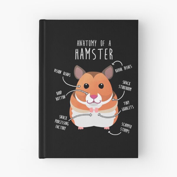 Item preview, Syrian Hamster Anatomy designed and sold by Clara Hollins.