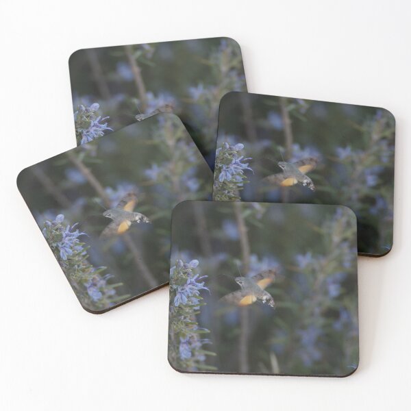 Item preview, hummingbird hawk moth designed and sold by distracted.