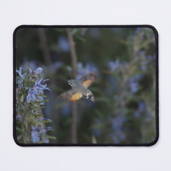 Item preview, hummingbird hawk moth designed and sold by distracted.