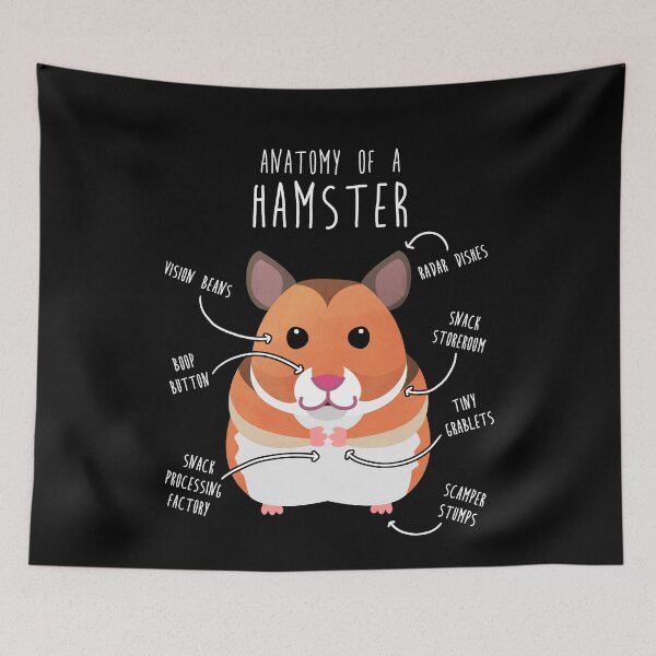 Item preview, Syrian Hamster Anatomy designed and sold by Clara Hollins.