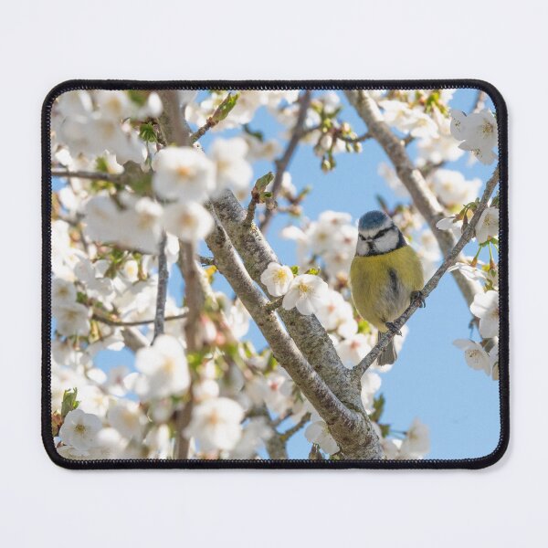 Item preview, Bluetit in the Spring Blossom designed and sold by photosbygemmad.