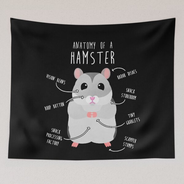 Item preview, Winter White Dwarf Hamster Anatomy designed and sold by Clara Hollins.