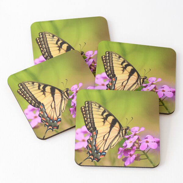 Item preview, Papilio glaucus on Hesperis matronalis designed and sold by outdoorstudio.