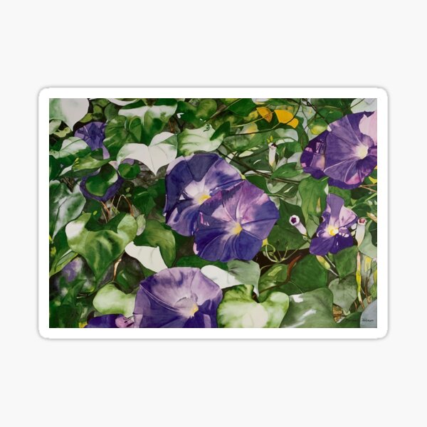 Morning Glories Sticker