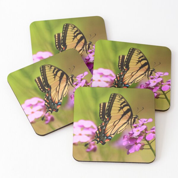 Item preview, Papilio glaucus on Hesperis matronalis designed and sold by outdoorstudio.